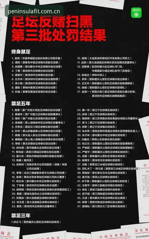 半岛体育24小时直播 资深用户亲历:中国足协第三批禁足名单深度解析与观赛心得