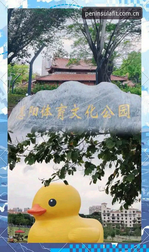 半岛体育安全吗 半岛体育安全吗?从专业角度解析平台安全保障与用户常见疑虑